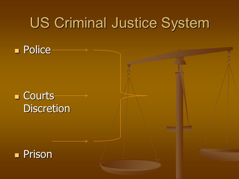 US Criminal Justice System Police   Courts      